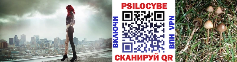 Псилоцибиновые грибы прущие грибы  Котельнич 